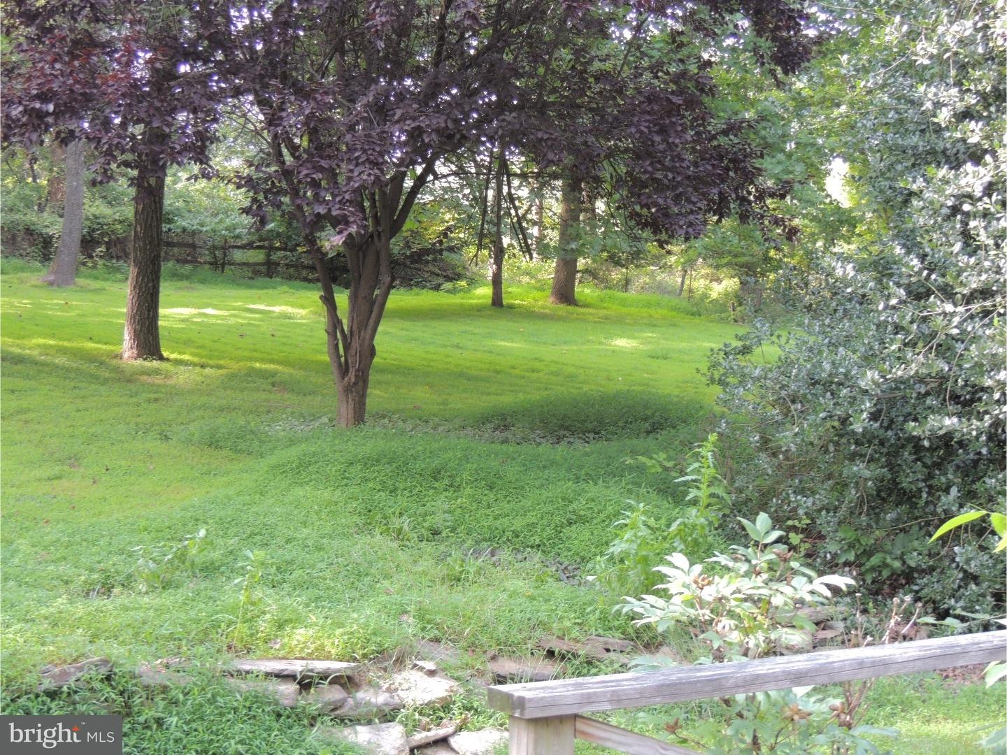 976 New Galena Road Doylestown, PA 18901 - Photo 3 of 18 Back Yard