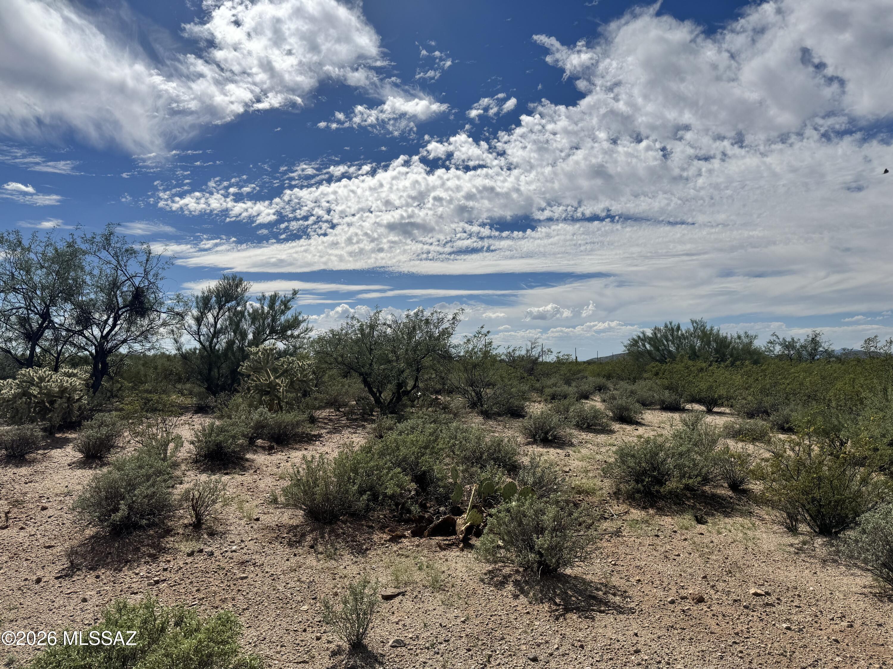0 Chuck Wagon Ranch Road Tucson, AZ 85739 - Photo 5 of 15 IMG_2694