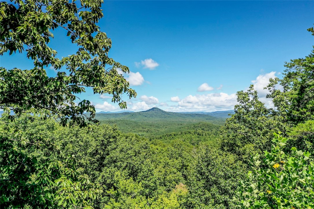 102 Cliffside Trail Pickens, SC 29671 - Photo 30 of 43 Gallery Image 30