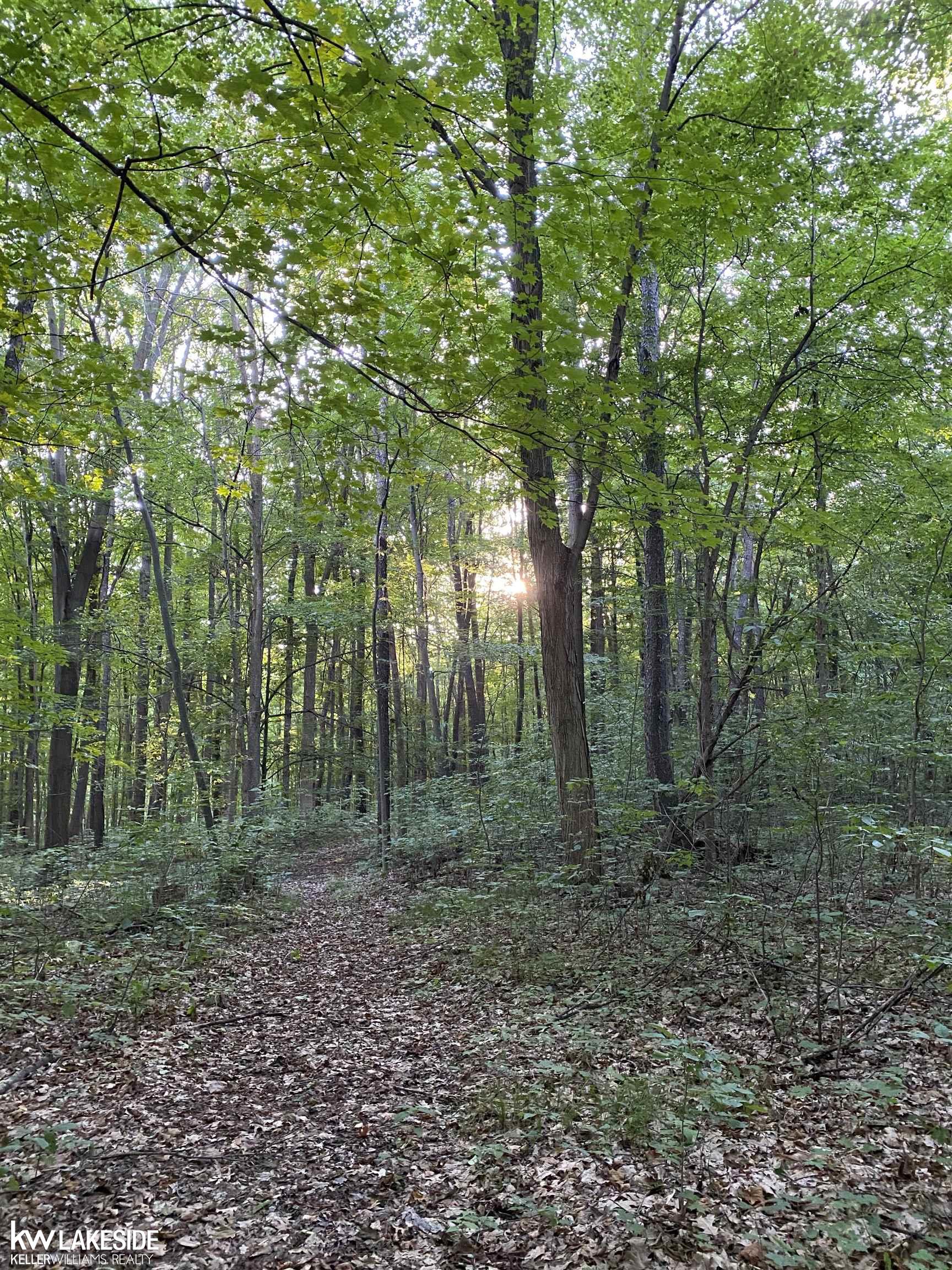 3035 Breen Road Emmett, MI 48022 - Photo 33 of 41 Gallery Image 33