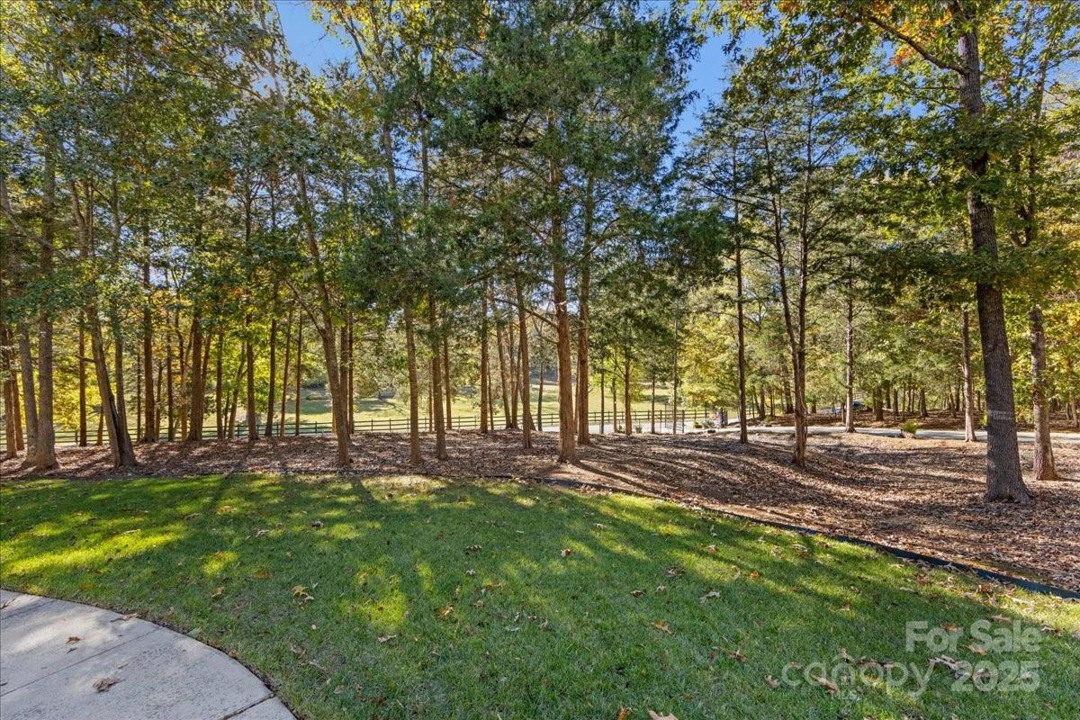 9701 Deer Run Road Waxhaw, NC 28173 - Photo 11 of 47