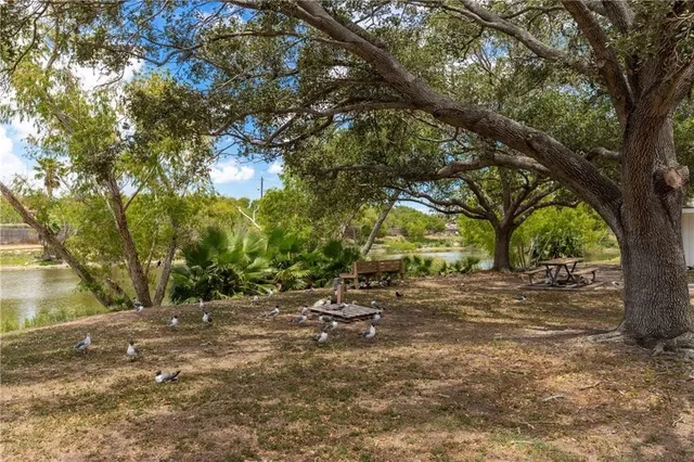 a view of outdoor space with deck and trees