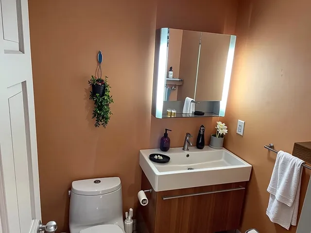 a bathroom with a sink and a toilet