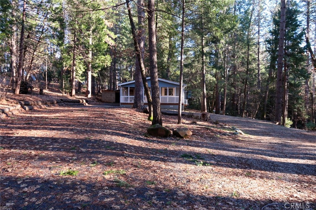 5446 Headwaters Road Forest Ranch, CA 95942 - Photo 11 of 47