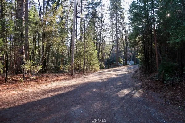 a view of road and trees