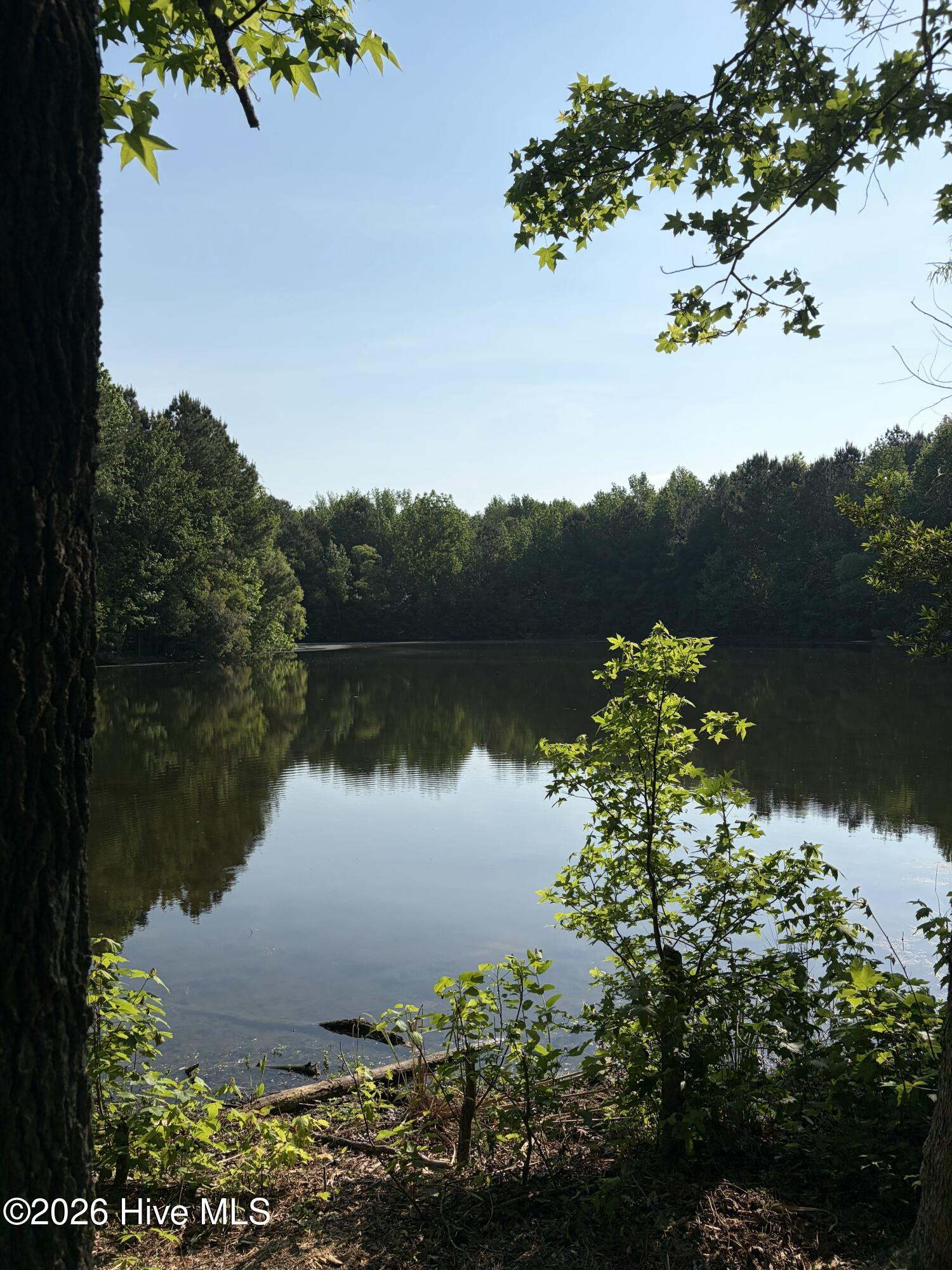 1381 Folly Road Plymouth, NC 27962 - Photo 6 of 7 Another pond on the property