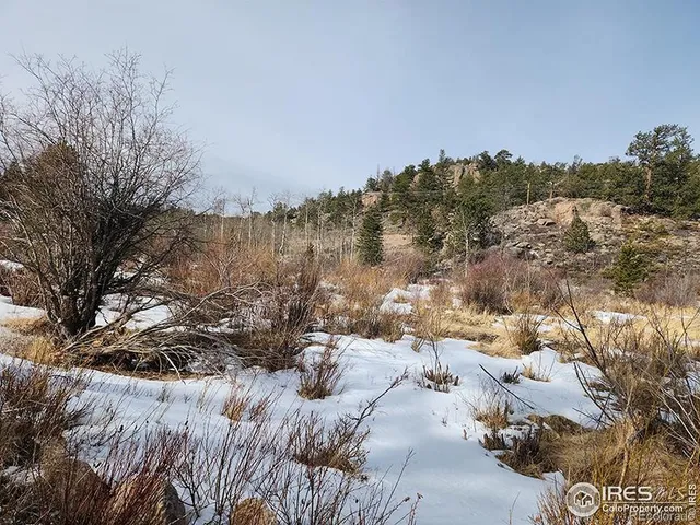 $35,000 | 151 Ada Court, Red Feather Lakes, CO 80545