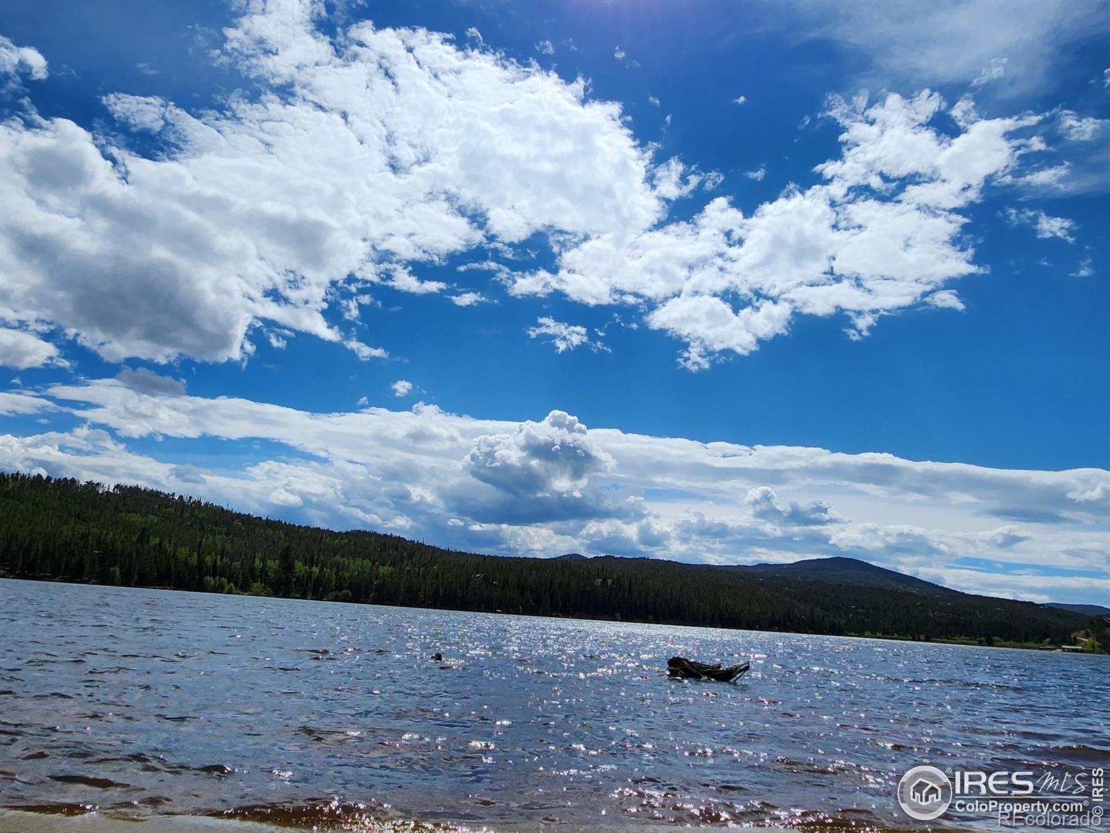 151 Ada Court Red Feather Lakes, CO 80545 - Photo 13 of 22