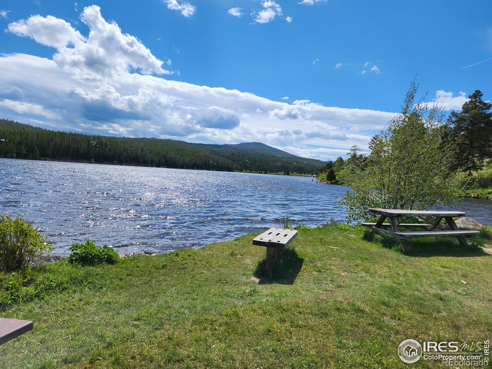 151 Ada Court Red Feather Lakes, CO 80545 - Photo 14 of 22