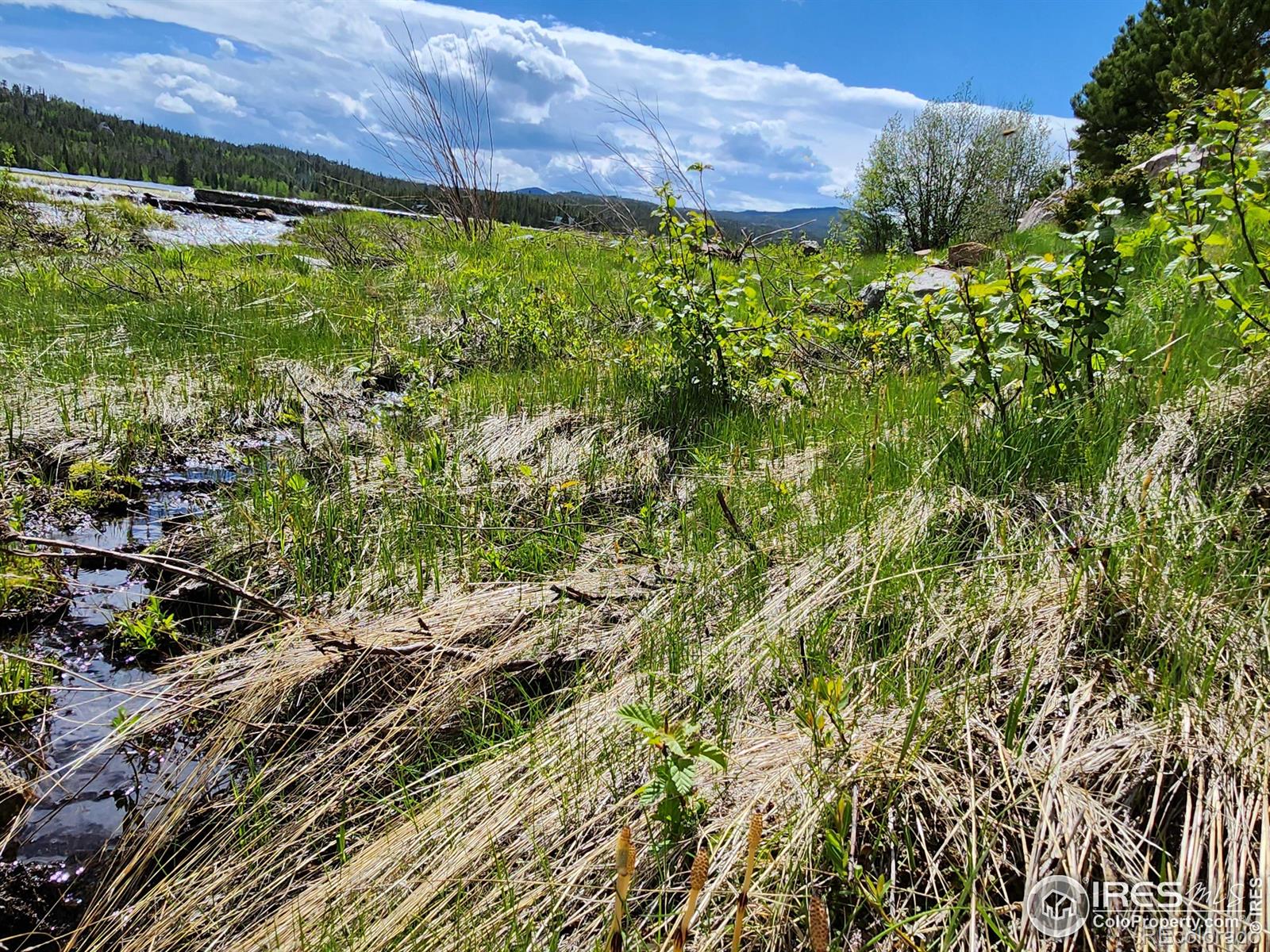 151 Ada Court Red Feather Lakes, CO 80545 - Photo 16 of 22