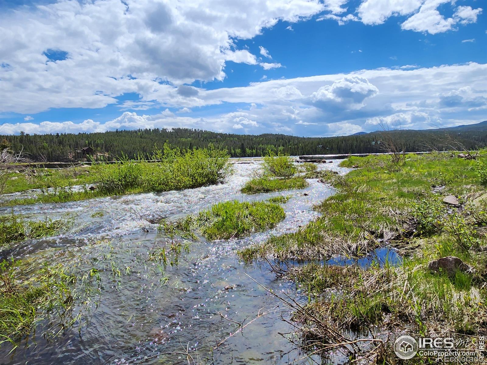 151 Ada Court Red Feather Lakes, CO 80545 - Photo 17 of 22