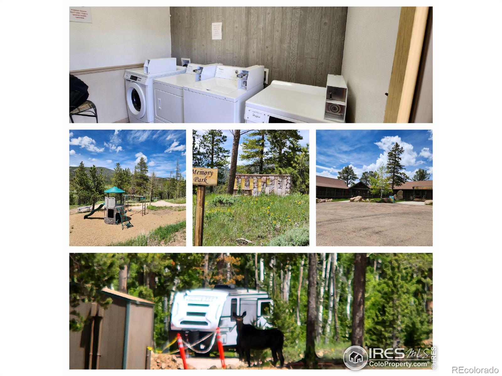 151 Ada Court Red Feather Lakes, CO 80545 - Photo 18 of 22