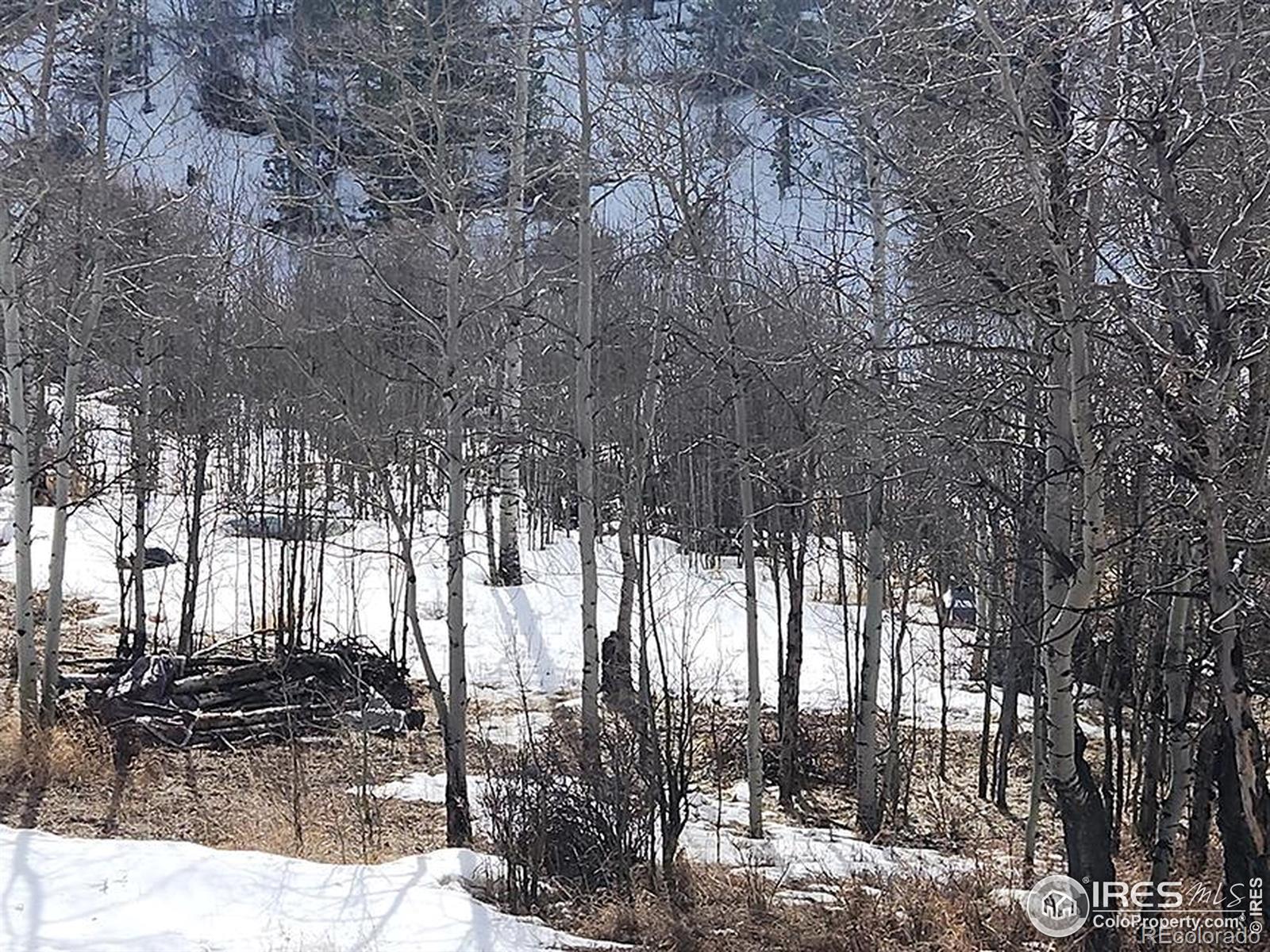 151 Ada Court Red Feather Lakes, CO 80545 - Photo 2 of 22