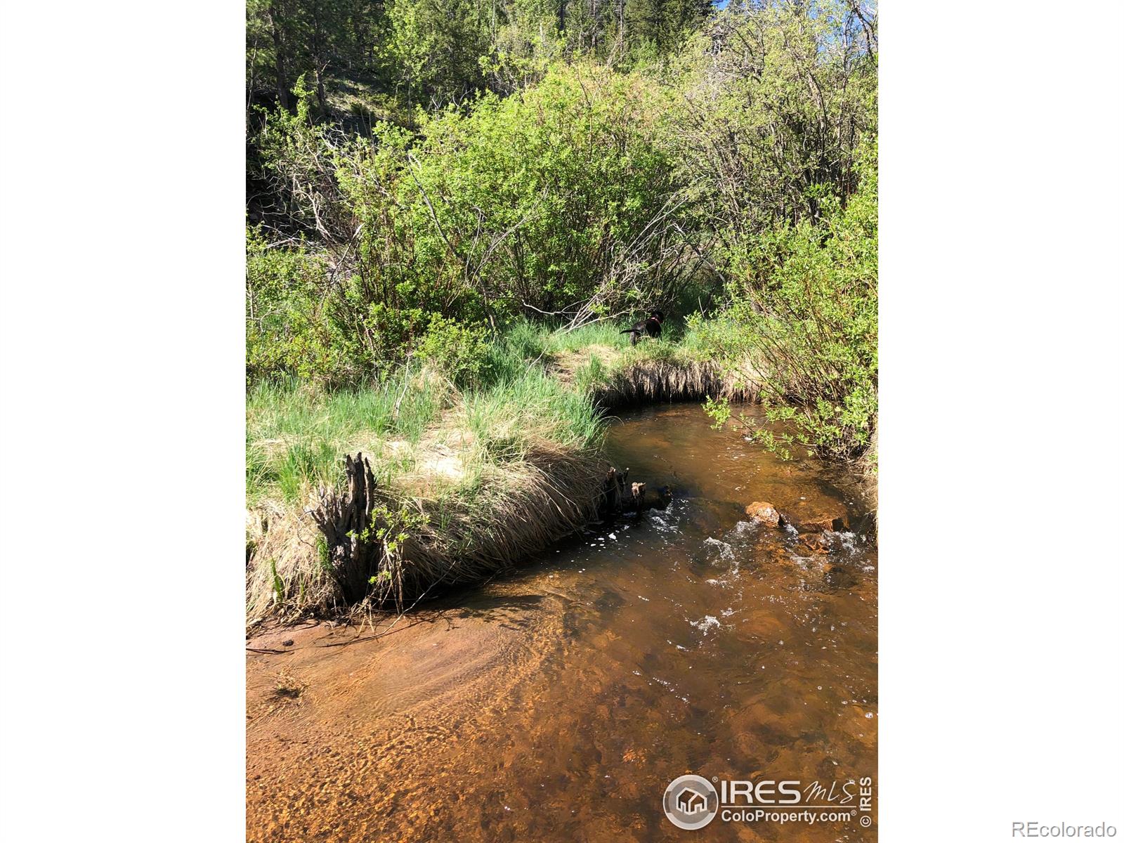 151 Ada Court Red Feather Lakes, CO 80545 - Photo 4 of 22