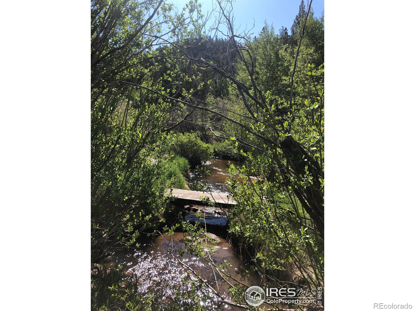 151 Ada Court Red Feather Lakes, CO 80545 - Photo 5 of 22