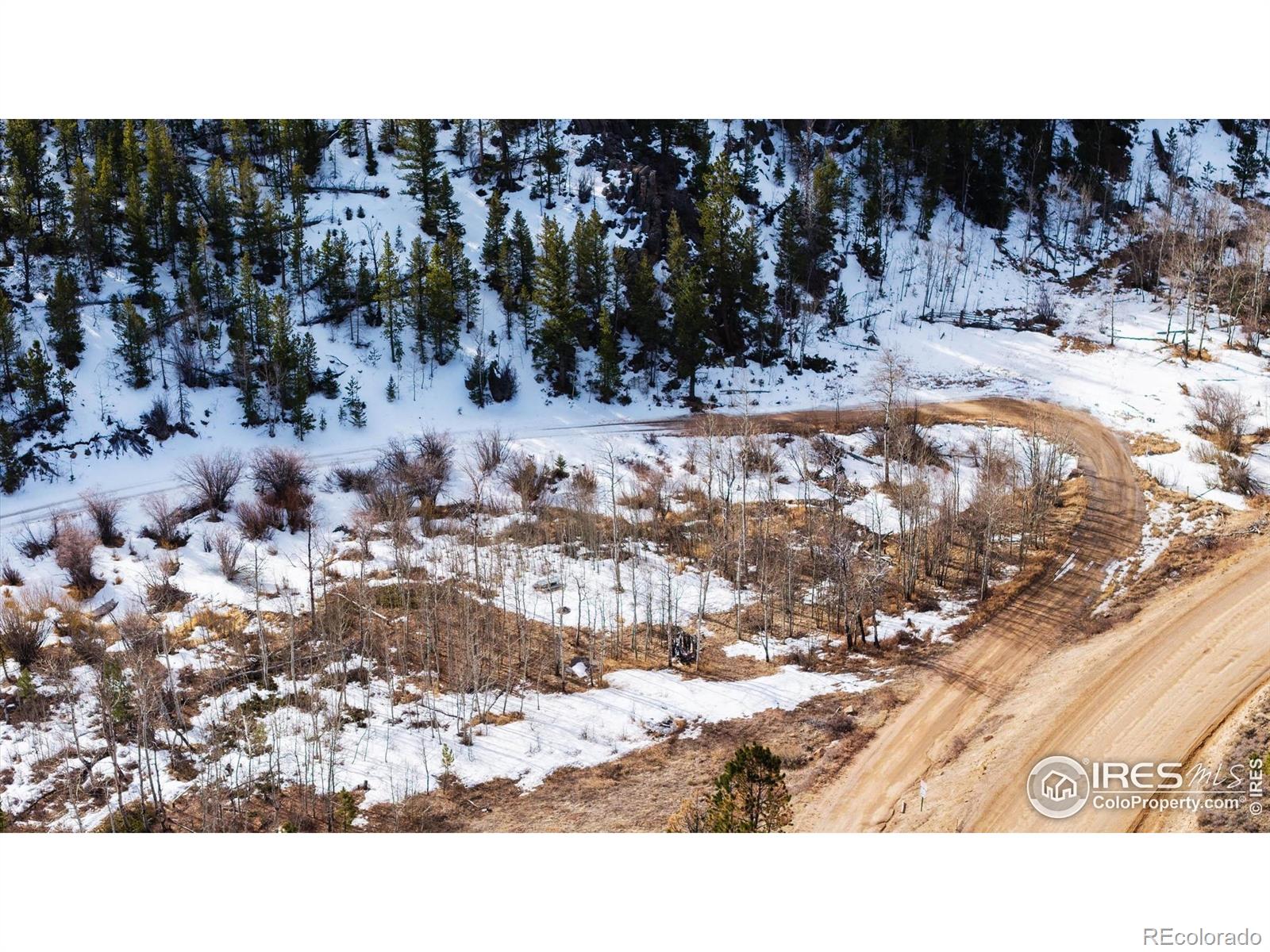 151 Ada Court Red Feather Lakes, CO 80545 - Photo 6 of 22