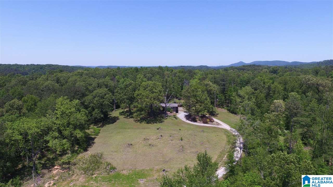 809 Anniston Beach Road Anniston, AL 36206 - Photo 5 of 45