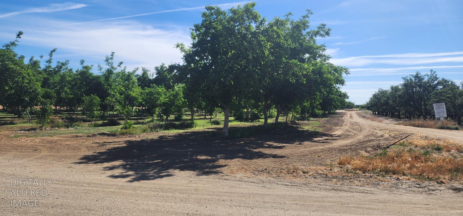 0 George Road Williams, CA 95987 - Photo 10 of 13 a view of a tree in front of a house