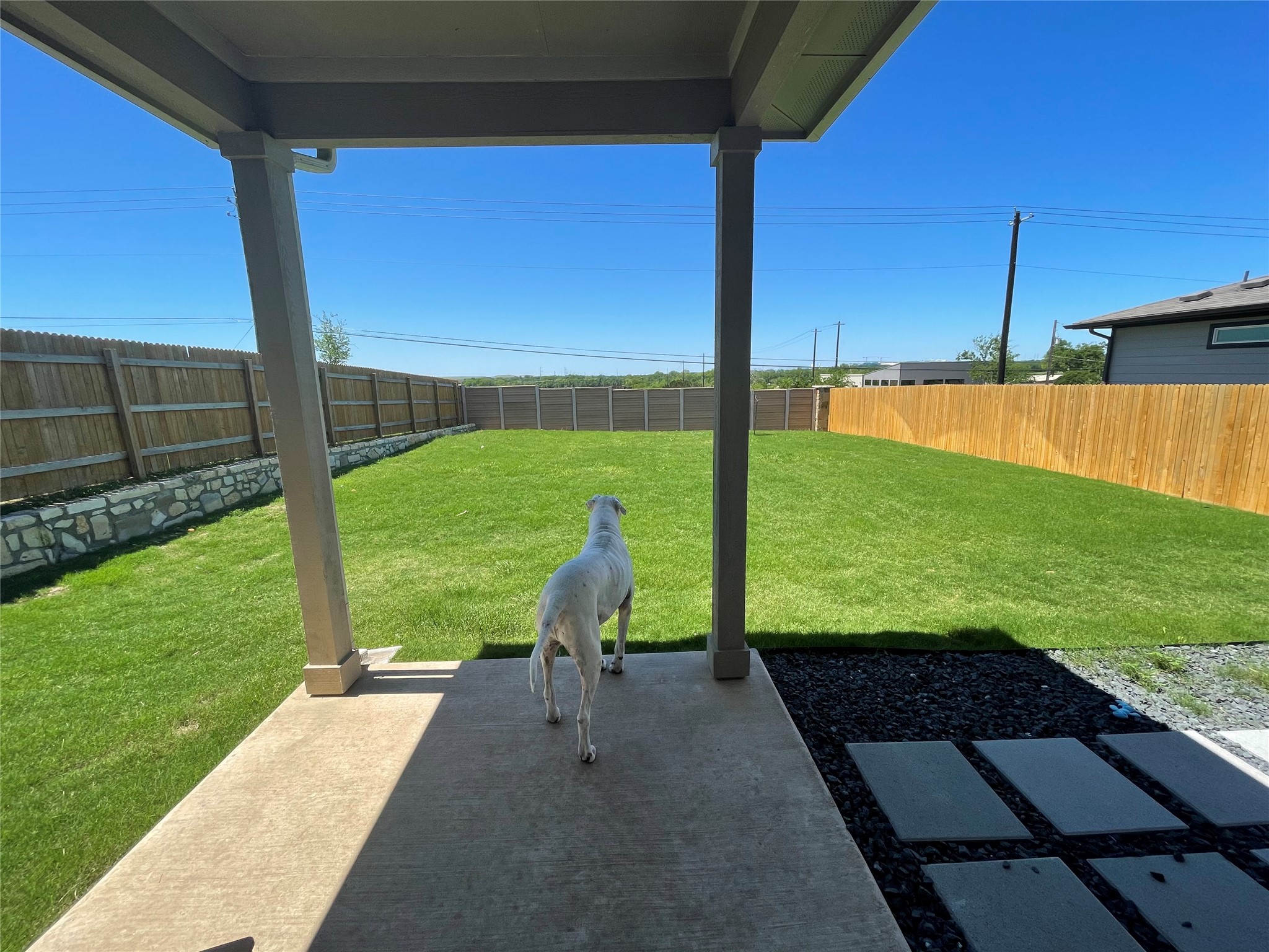 4605 Tully Drive Pflugerville, TX 78660 - Photo 35 of 38 a view of a back yard
