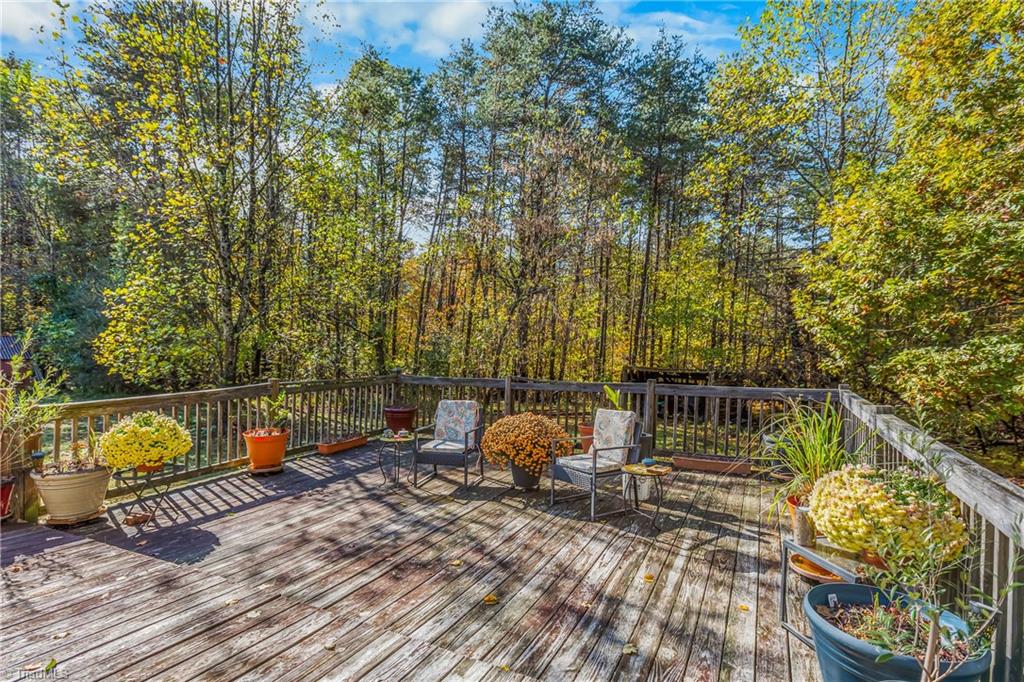 2044 Brims Grove Road Pinnacle, NC 27043 - Photo 42 of 46