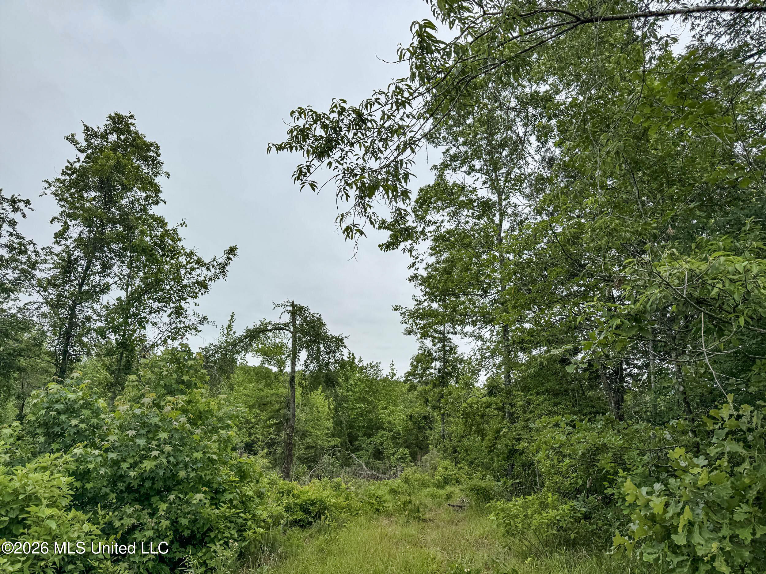 Wayne Massie Road Como, MS 38619 - Photo 80 of 184 5cdtbs6