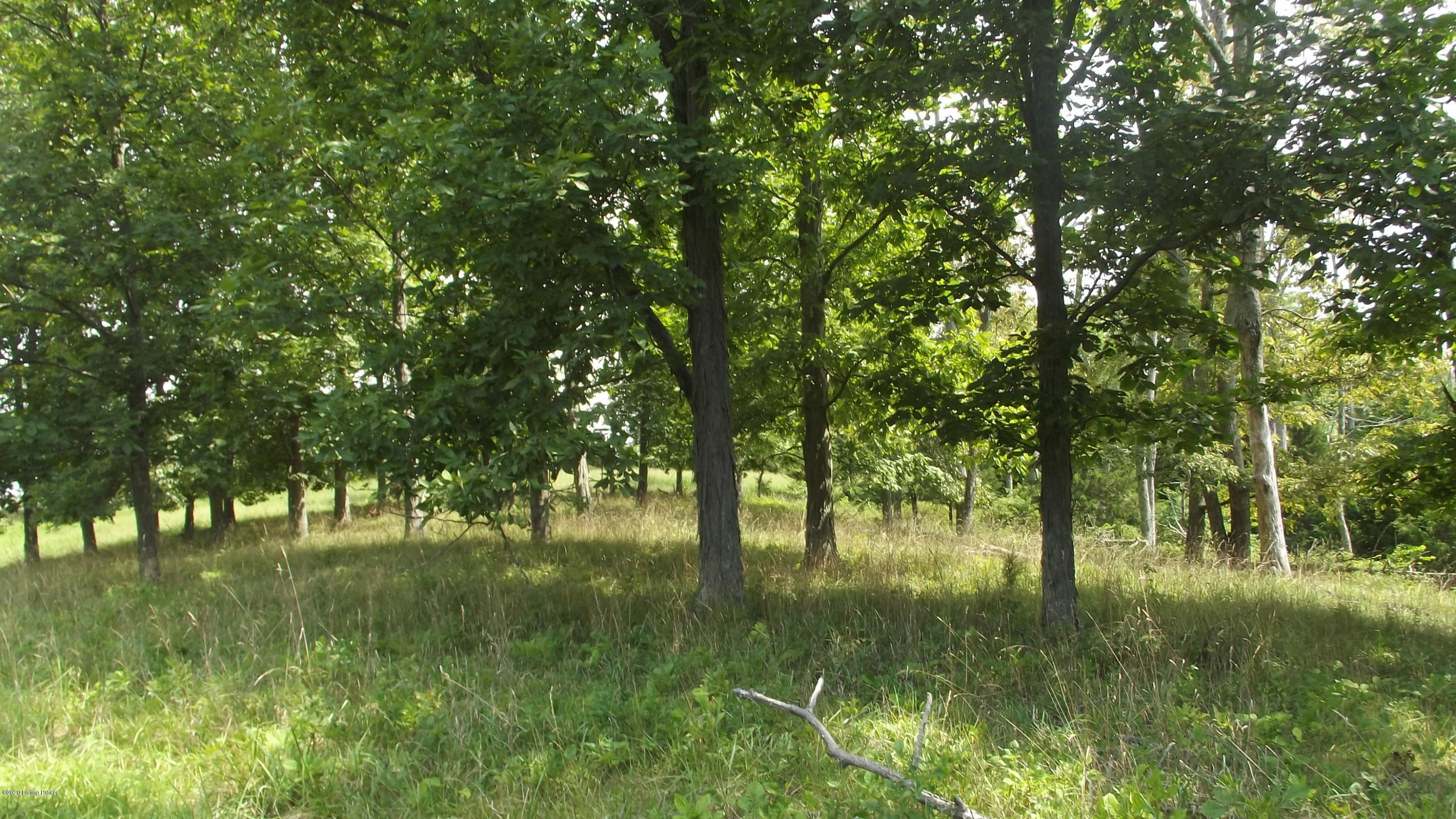 2126 Wright's Ridge Road Milton, KY 40045 - Photo 7 of 38 DSCF6795