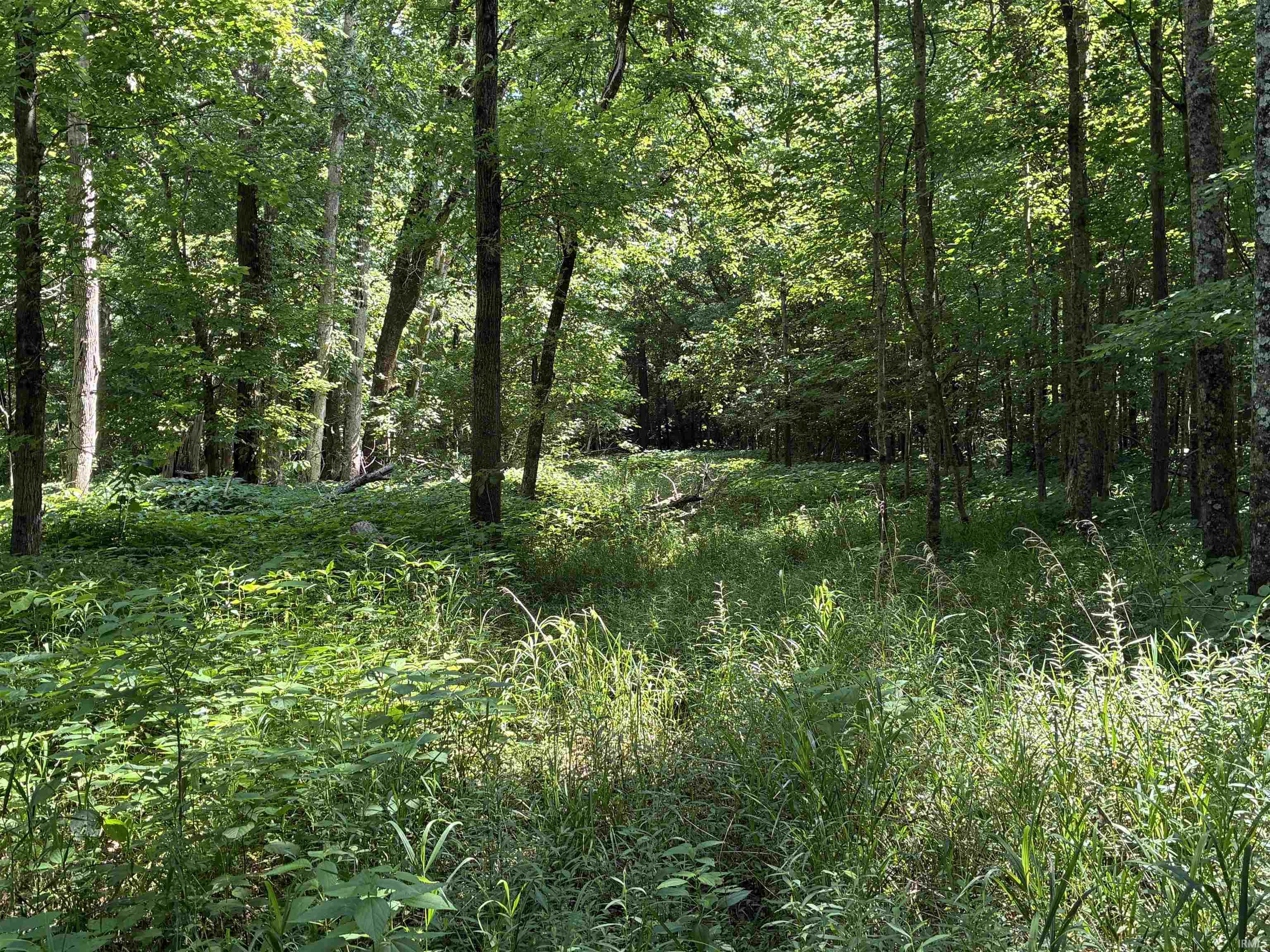 257 State Road Velpen, IN 47590 - Photo 17 of 29