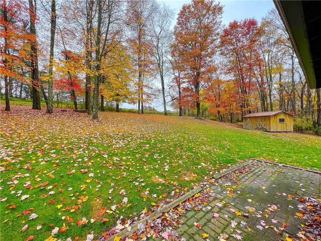 178 Hoon Road Butler, PA 16001 - Photo 22 of 26 a backyard of a house with large trees