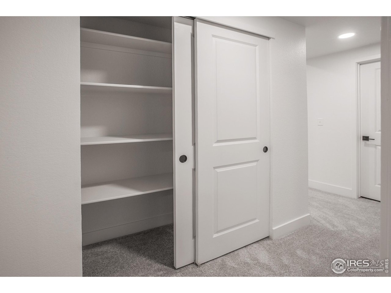 6071 Red Barn Road Timnath, CO 80547 - Photo 36 of 40 FINISHED BASEMENT STORAGE