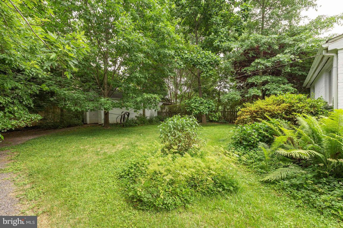 7129 Fairfax Road Bethesda, MD 20814 - Photo 4 of 42 Level lot with mature trees
