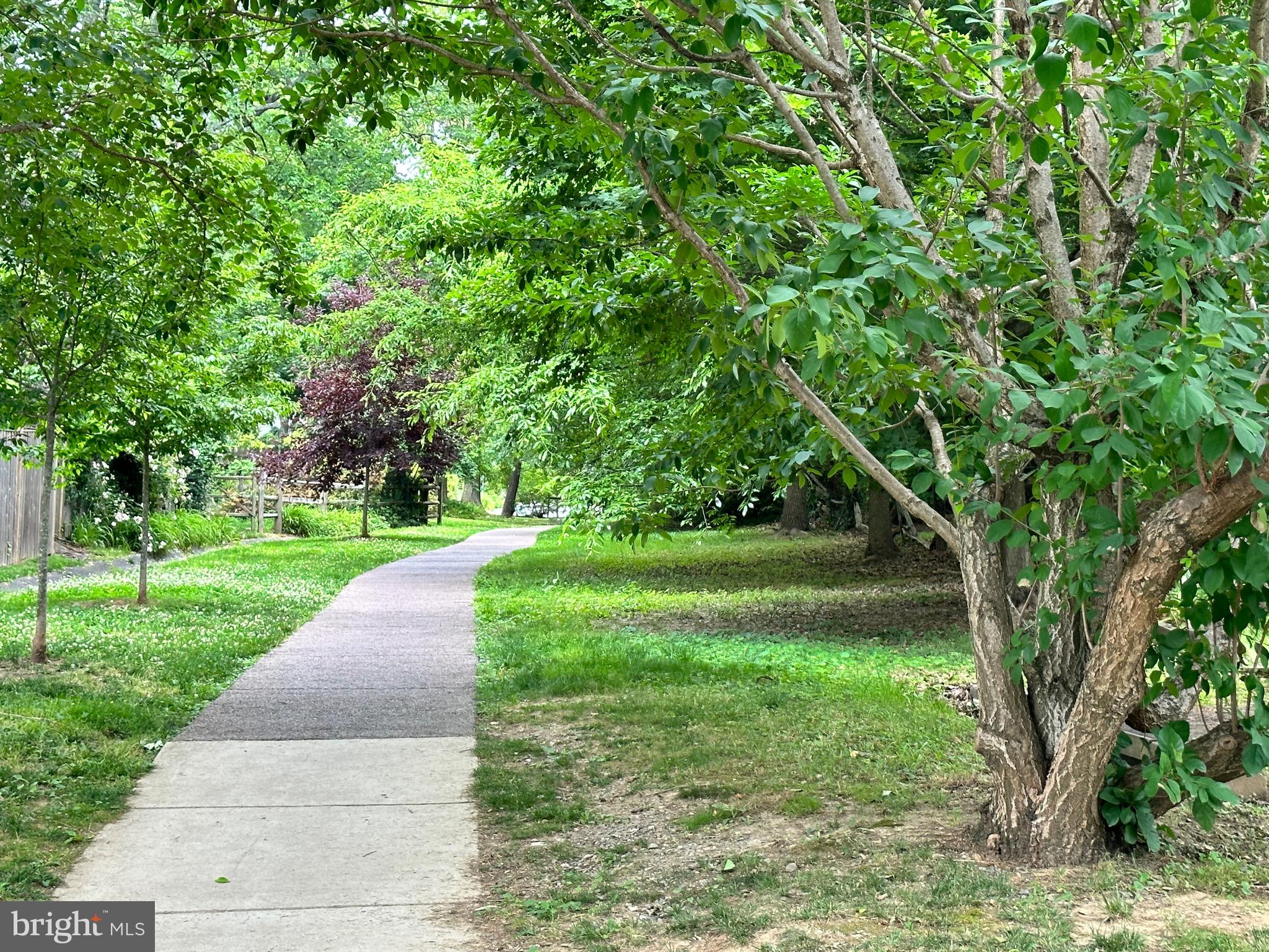 7129 Fairfax Road Bethesda, MD 20814 - Photo 10 of 42 Next to the Walking Path