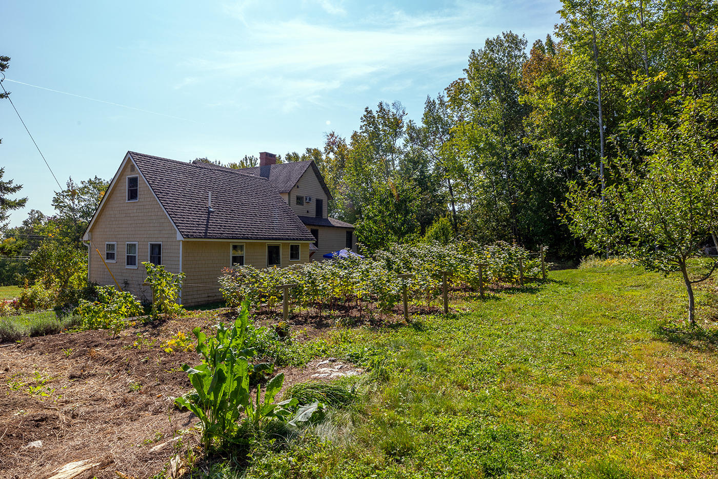 528 Belfast Road Camden, ME 04843 - Photo 68 of 71 Gardens