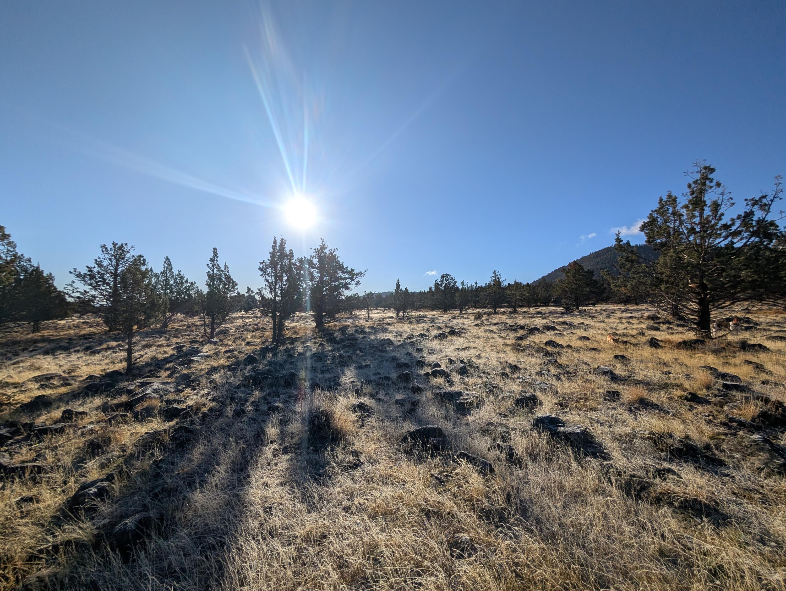 Cedar Trail Klamath Falls, OR 97603 - Photo 21 of 24 PXL_20251027_162356247