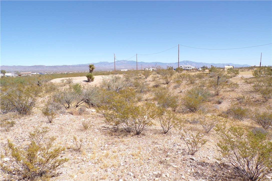 1386 Don Luis Road Golden Valley, AZ 86413 - Photo 8 of 47 The property features a desert landscape with natural vegetation and distant mountain views