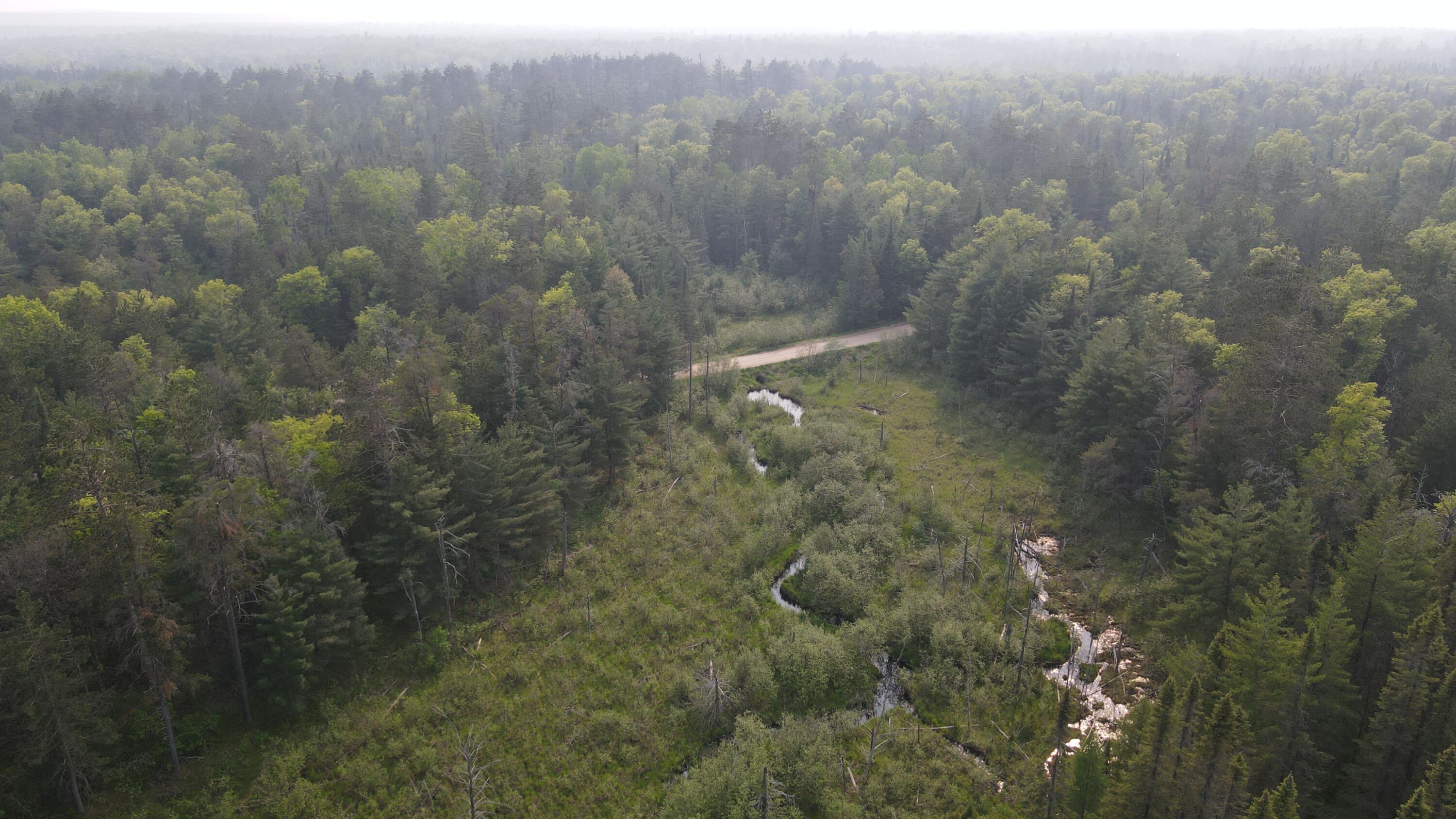Parcel B Cherry Creek Road Grayling, MI 49738 - Photo 12 of 25 DJI_0952