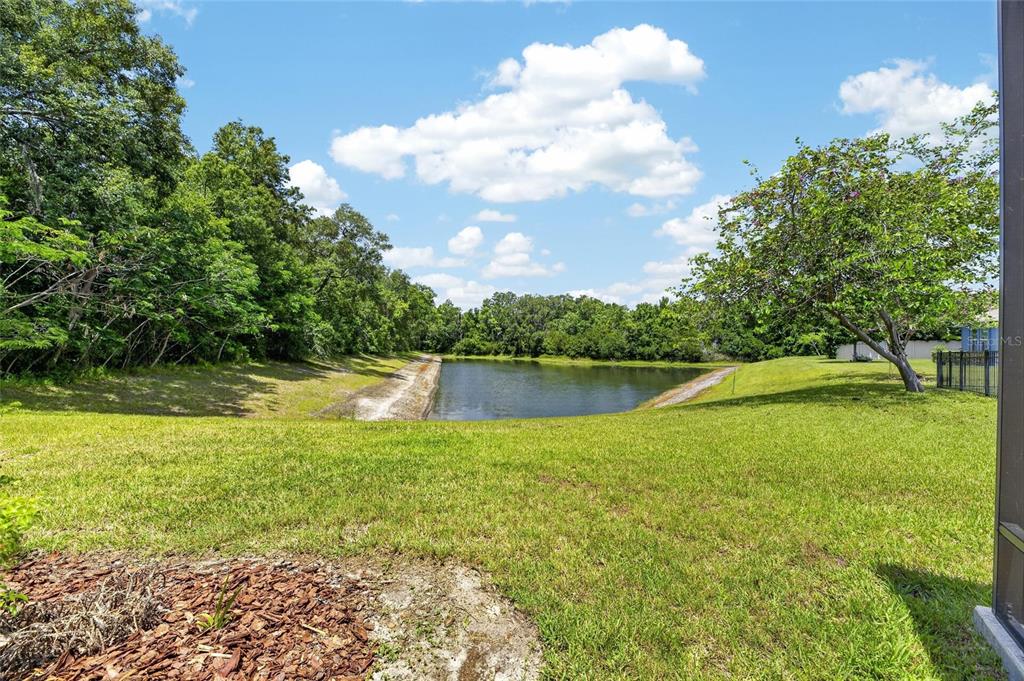 3506 Wicket Field Road Lutz, FL 33548 - Photo 29 of 31