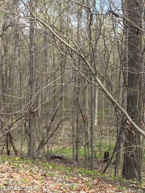0 South Reese Road Frankenmuth, MI 48734 - Photo 4 of 15