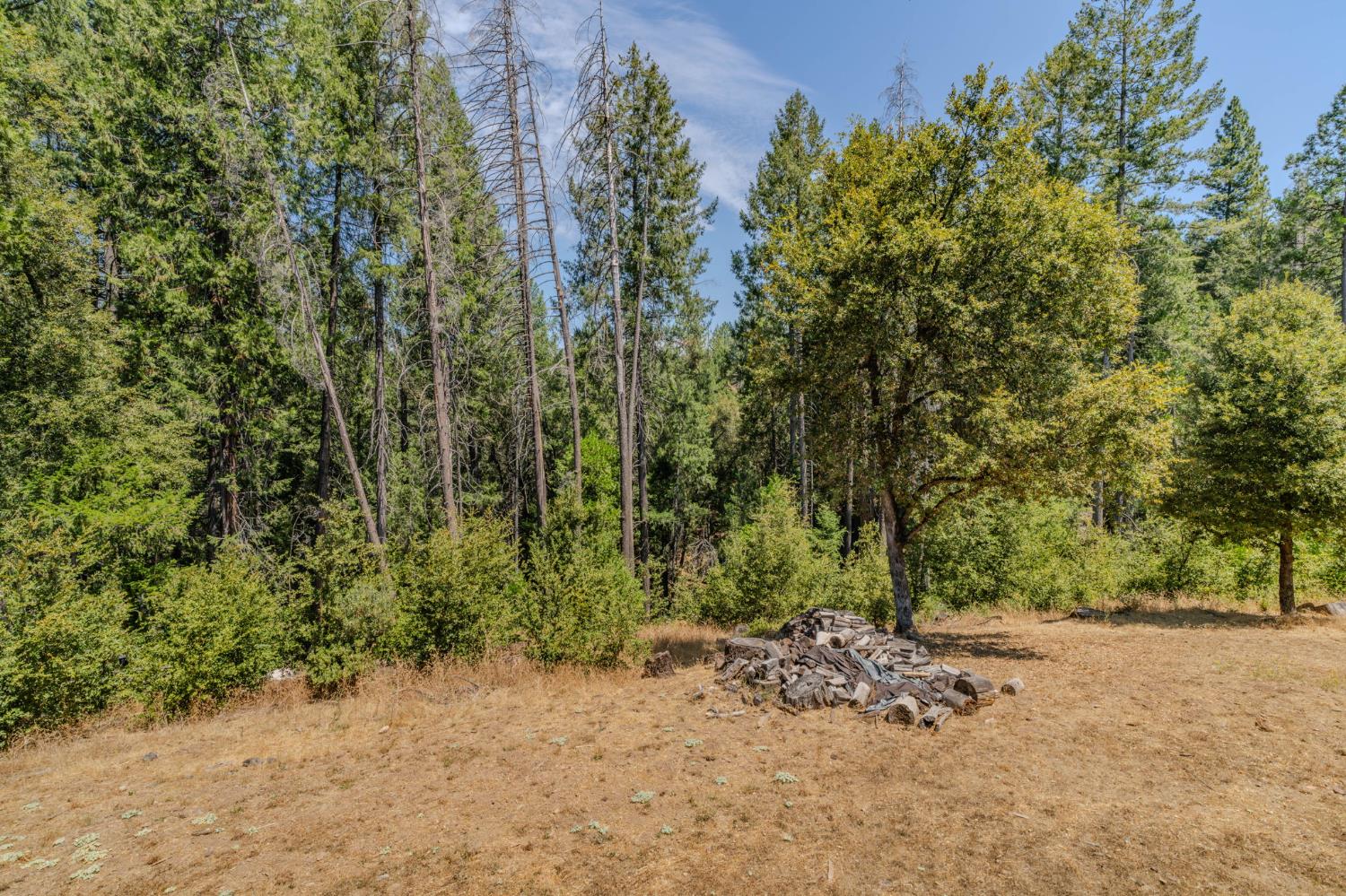 21641 Allan Road Volcano, CA 95689 - Photo 63 of 71 Gallery Image 63