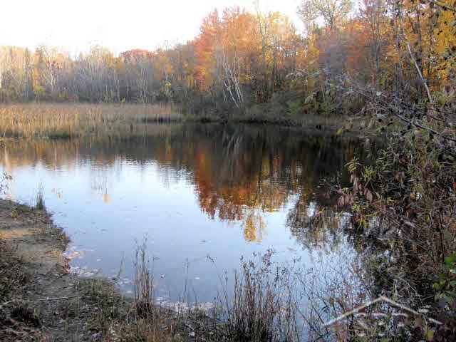 Bishop Road Chesaning, MI 48616 - Photo 3 of 3 20352796-2.JPG
