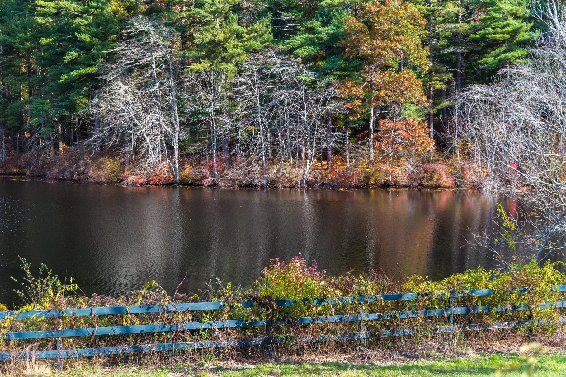 0 Marys Pond Road Rochester, MA 02770 - Photo 8 of 19 Gallery Image 8