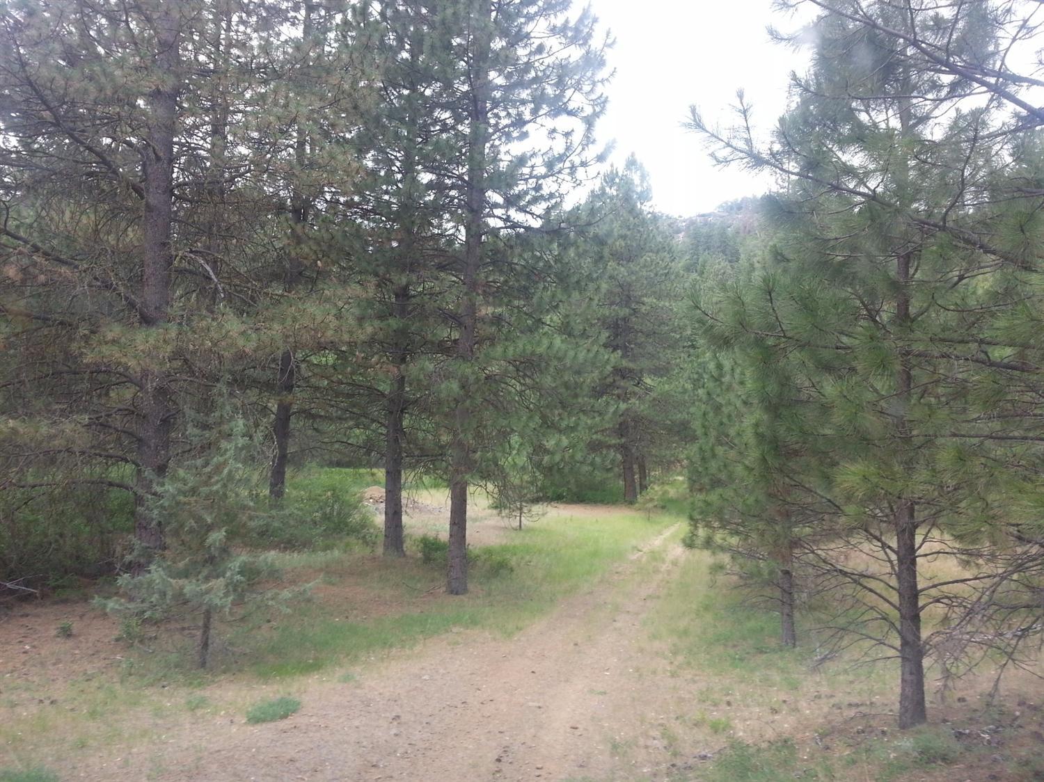 1909 Colestin Road Ashland, OR 97520 - Photo 11 of 24 Additional Photo