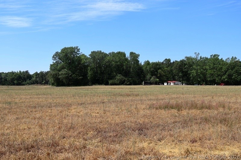 Tbd North Duffie Road Red Springs, NC 28377 - Photo 24 of 24 a view of basketball court