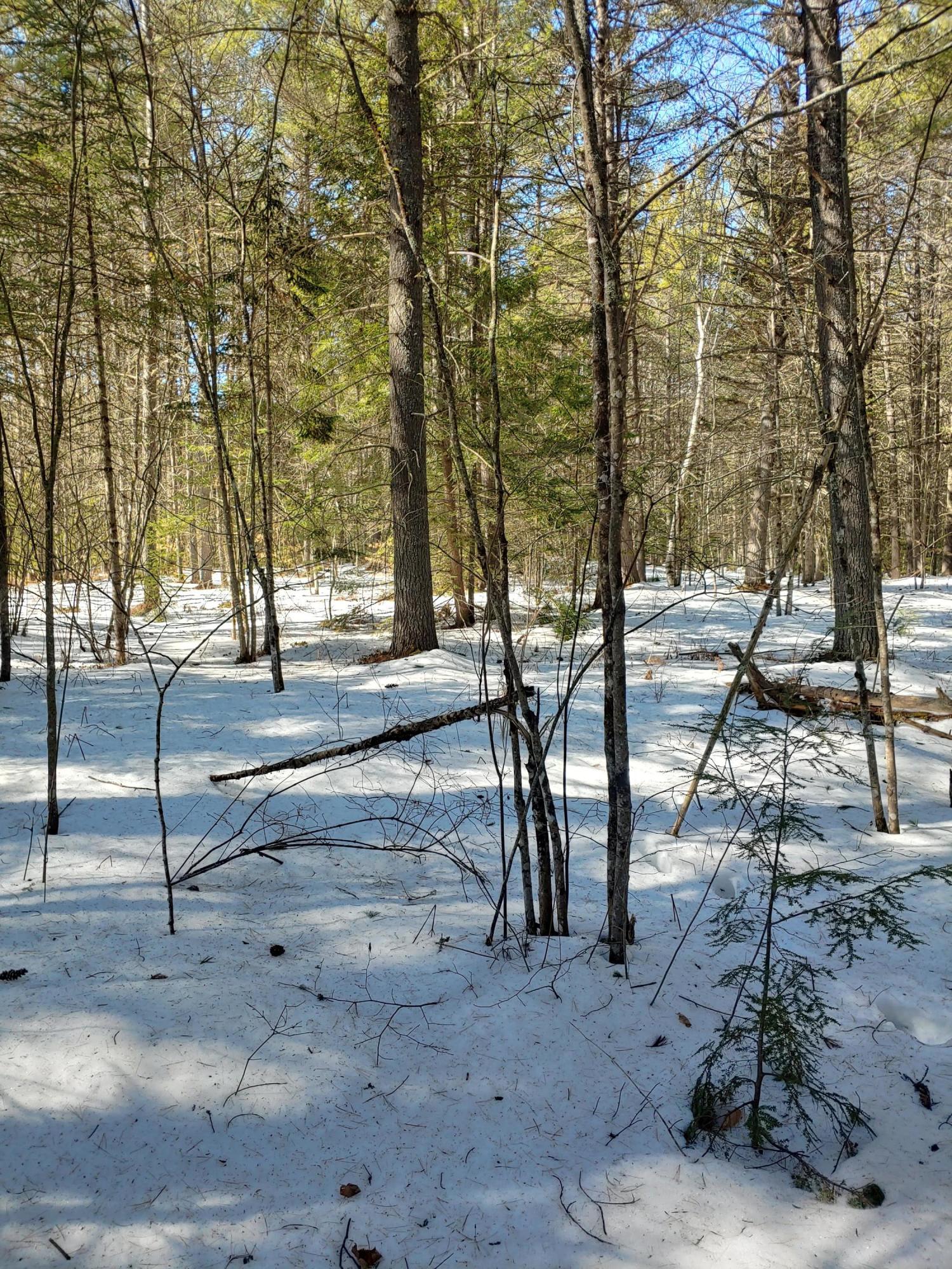 Lot 5 Rolfe Road, Unit 5 Harrison, ME 04040 - Photo 5 of 9 land