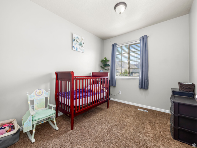 987 South 1850th Street West Springville, UT 84663 - Photo 12 of 29