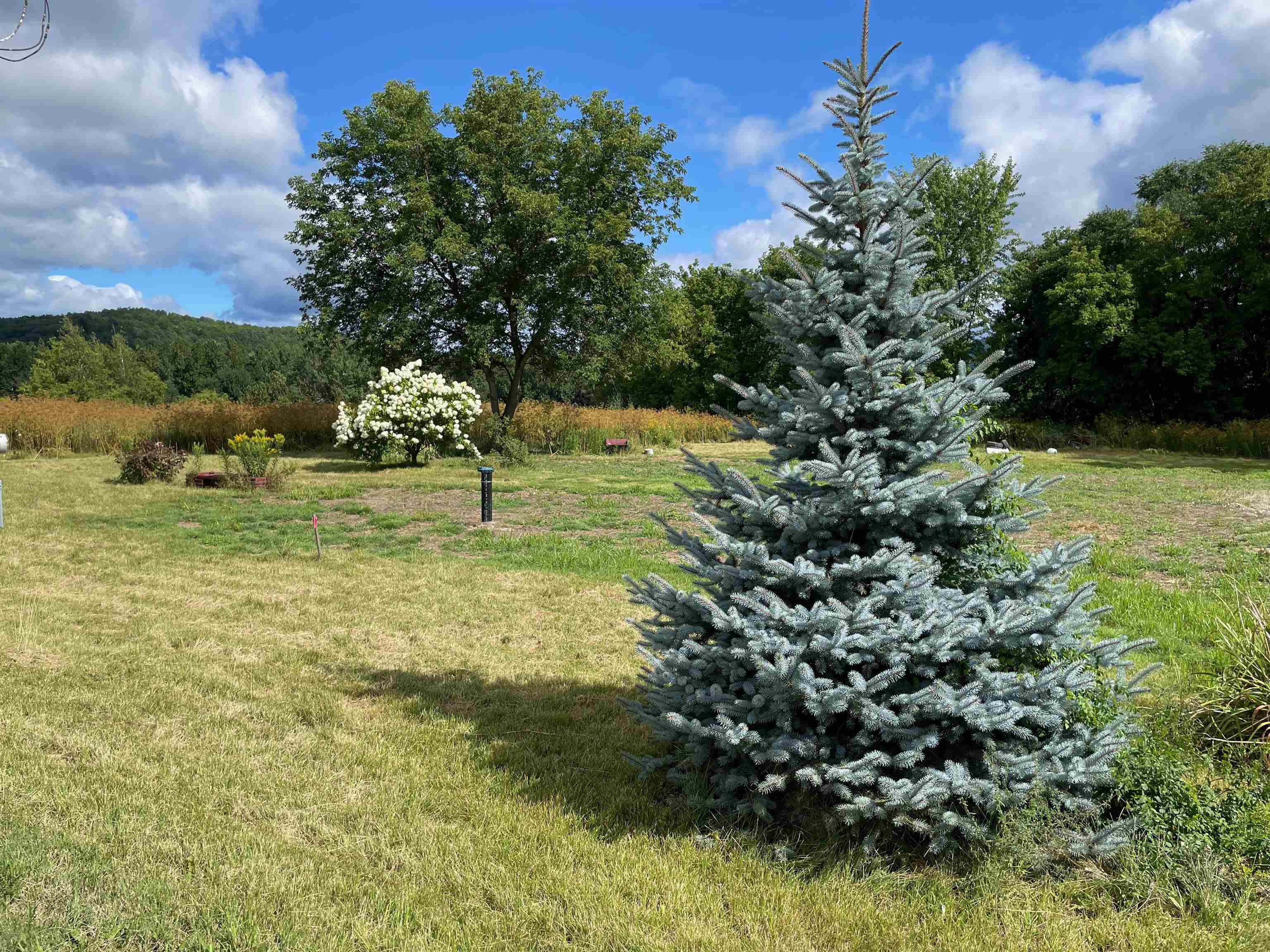 242 Cove Road Bristol, VT 05443 - Photo 1 of 10