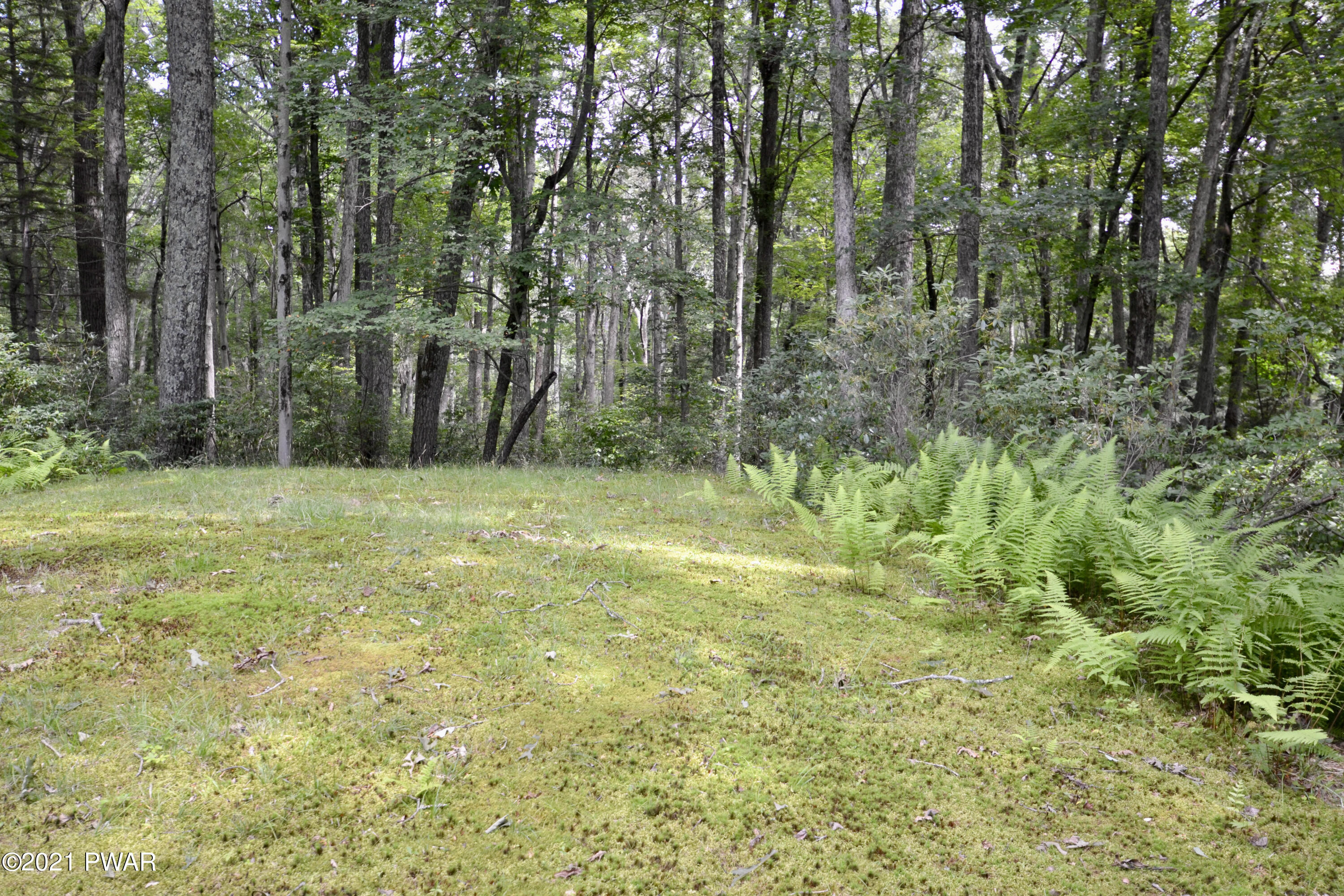 120 Hay Road Milford, PA 18337 - Photo 18 of 20 DSC_0559