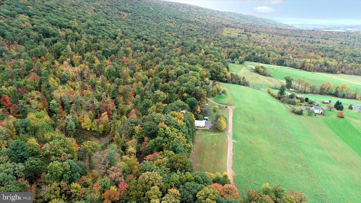 134 Broad Mountain View Road Halifax, PA 17032 - Photo 9 of 35 Amazing Views