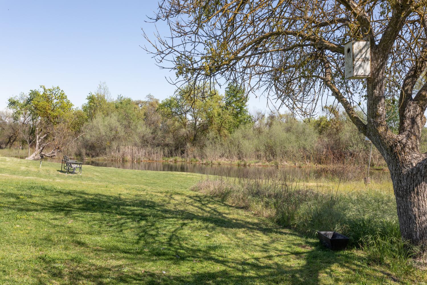 8701 Highway 41, Unit 52 Fresno, CA 93720 - Photo 10 of 66 a view of outdoor space and yard