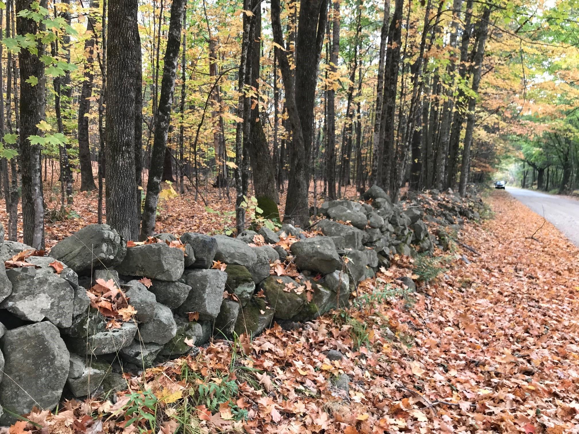 0 Spring Road West Newfield, ME 04095 - Photo 3 of 17 5