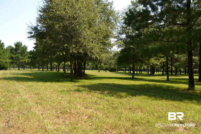 27608 County Road 65 Loxley, AL 36551 - Photo 10 of 32 Shady pastures